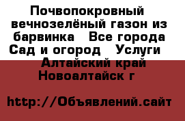 Почвопокровный, вечнозелёный газон из барвинка - Все города Сад и огород » Услуги   . Алтайский край,Новоалтайск г.